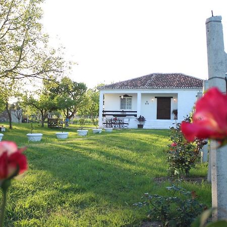 "Per Mik" Cottage In Vineyard Шкодер Екстер'єр фото