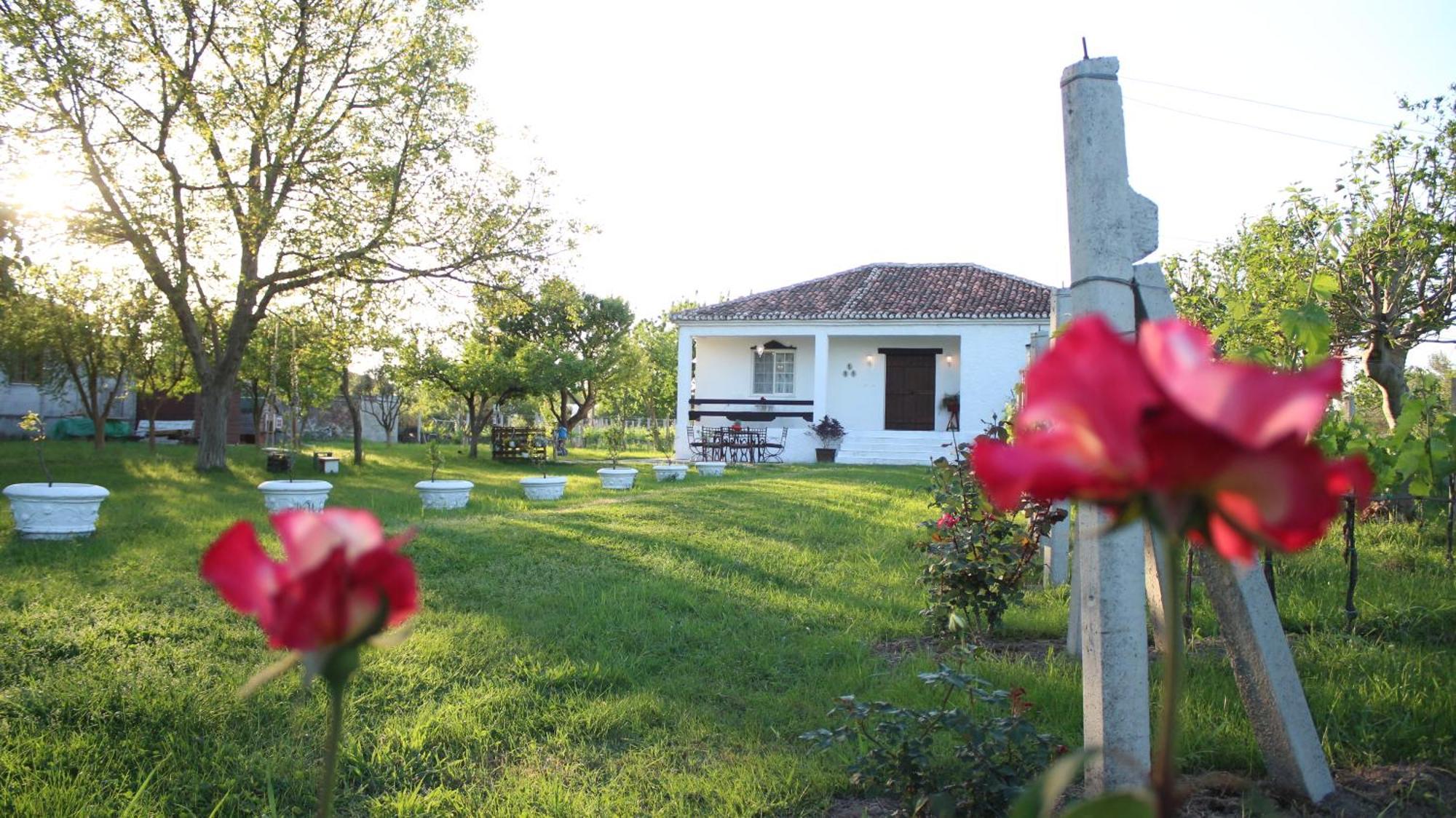 "Per Mik" Cottage In Vineyard Шкодер Екстер'єр фото