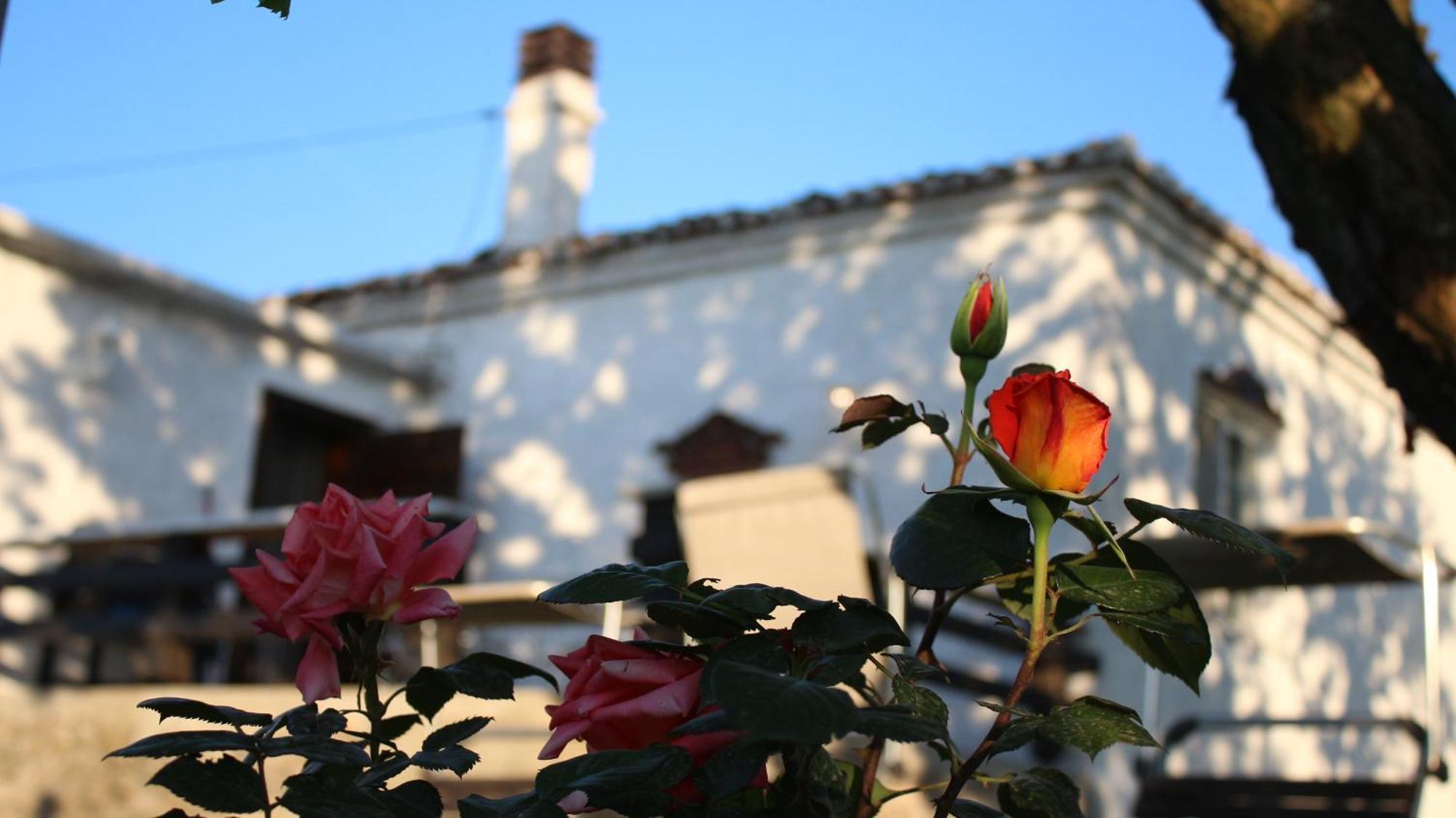 "Per Mik" Cottage In Vineyard Шкодер Екстер'єр фото
