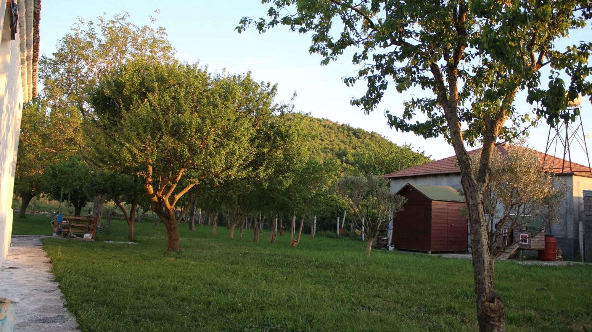 "Per Mik" Cottage In Vineyard Шкодер Екстер'єр фото